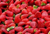 Hvornår planter man jordbær?